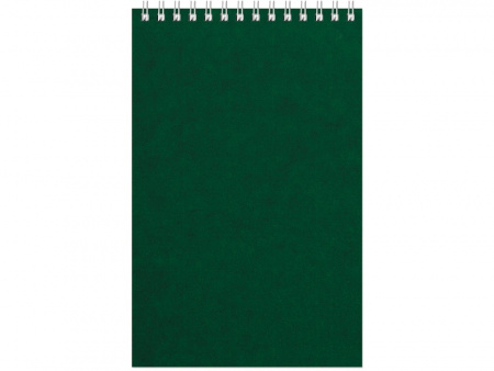 Бизнес - блокнот Альт А5 (127 х 198 мм) Office 60 л., зеленый