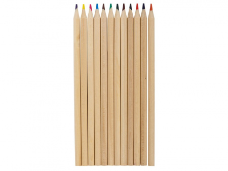Набор из 12 карандашей Paint
