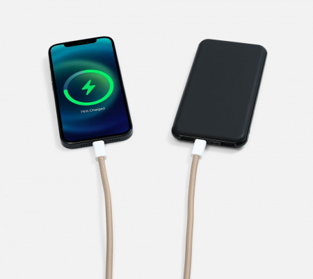 Кабель-ланьярд energyFlex Pro, серо-бежевый