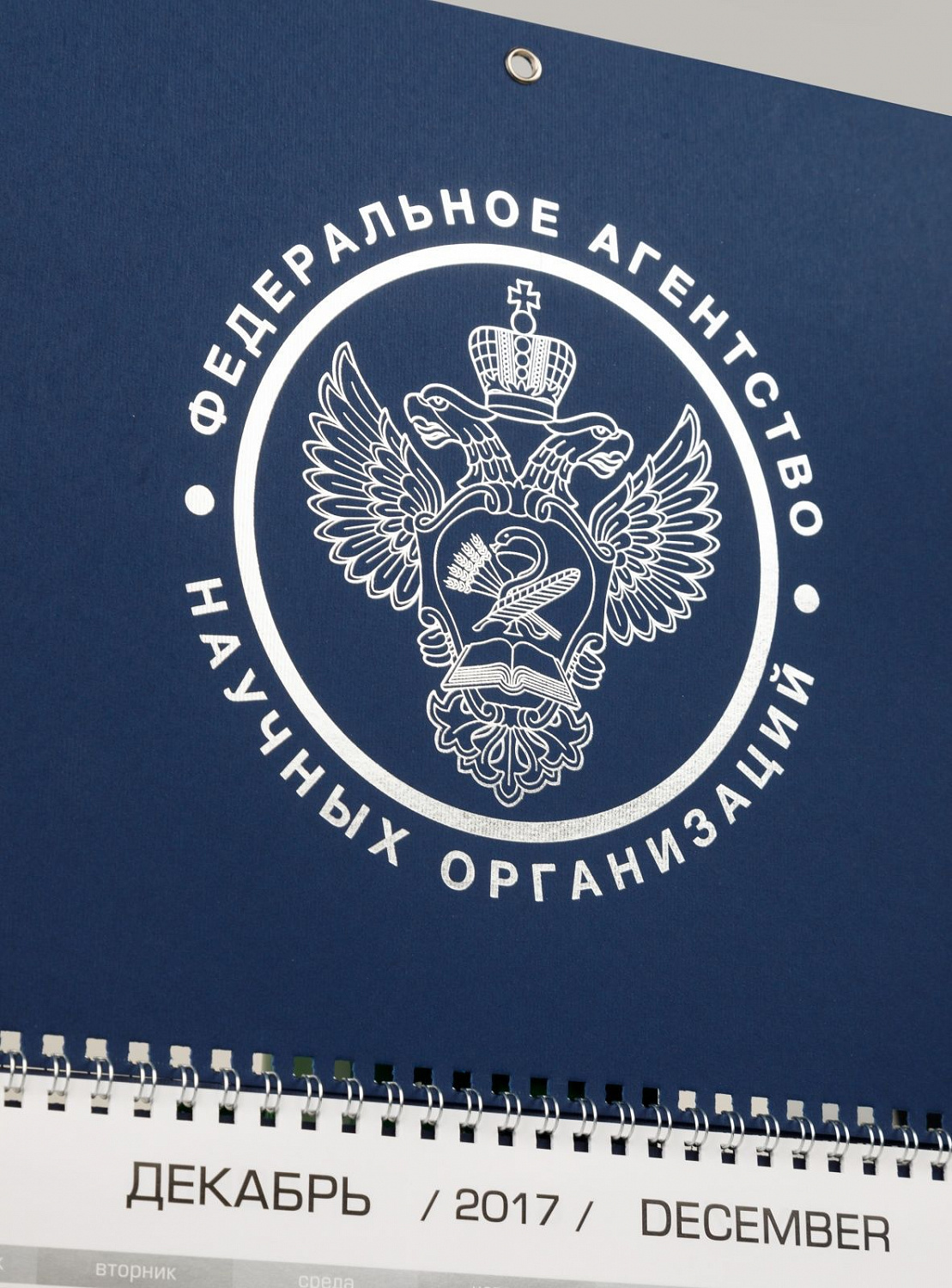 Деловая продукция для ФАНО России