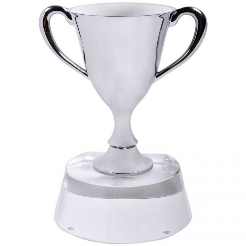 Стела  "Кубок победителя" в подарочной упаковке; 13х10х17 см; стекло, металл