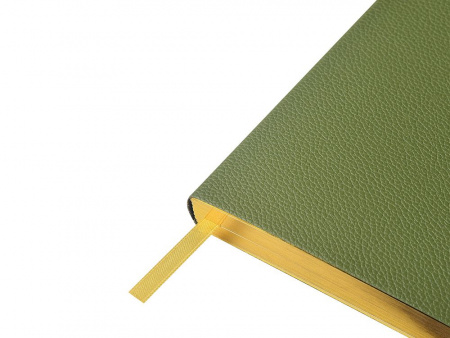 Ежедневник недатированный А5 Verde с нашивкой, зеленый