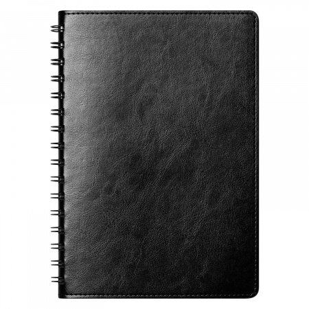 Ежедневник Vista Neo недатированный, синий