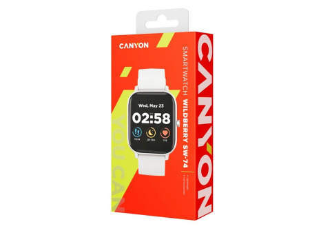 Смарт-часы Canyon SW-74 Wildberry , IP67, серебристый (Р)