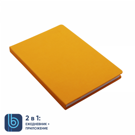 Набор Bplanner Business 02 (жёлтый с чёрным)