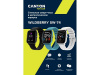 Смарт-часы Canyon SW-74 Wildberry , IP67, серебристый (Р)