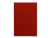 Бизнес - блокнот А4 (198 х 285 мм) Office 60 л., красный