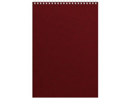 Бизнес - блокнот Альт А4 (198 х 285 мм) Office 60 л., бордовый