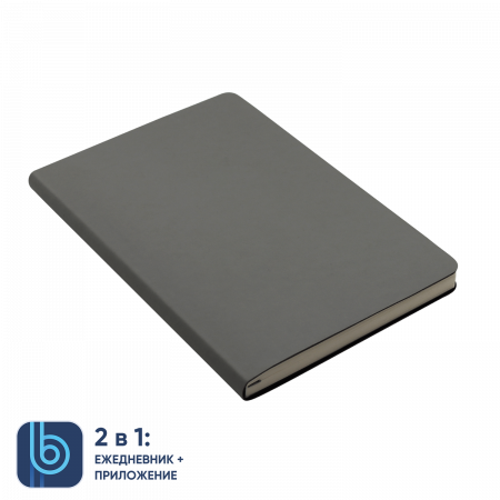 Набор Bplanner Business 01 (серый с синим)